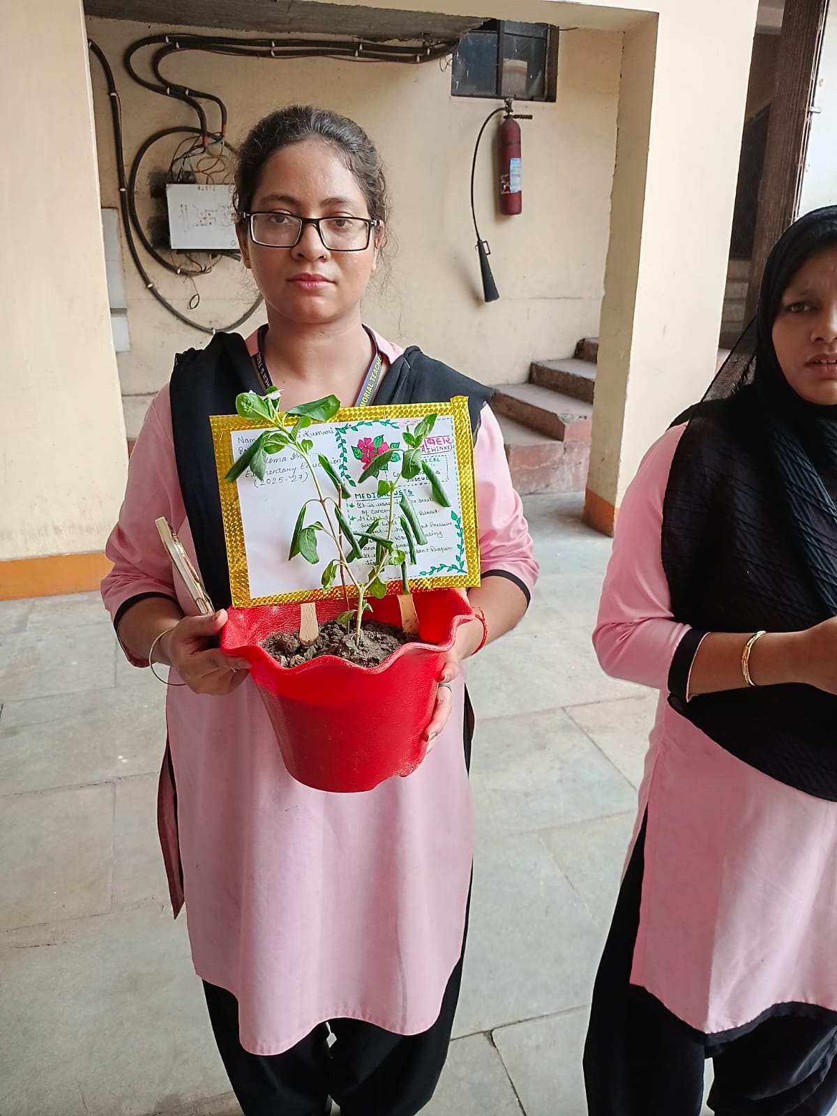 Plantation Day
