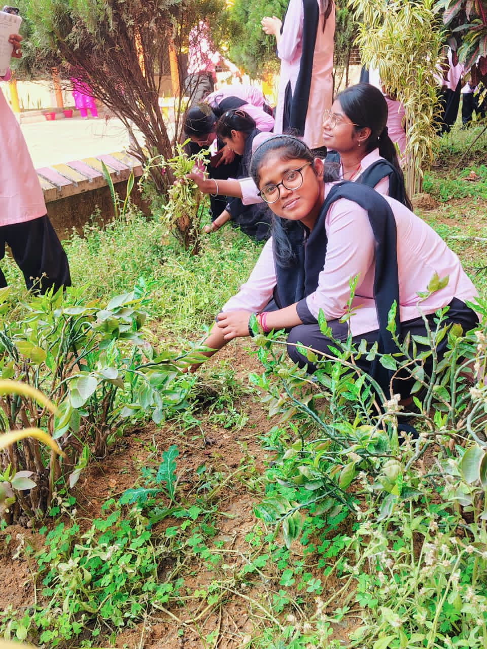 Plantation Day